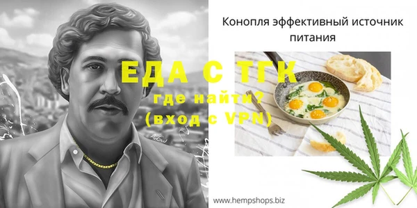 индика Абаза