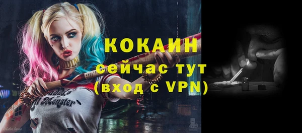 индика Абаза