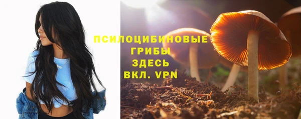 индика Абаза