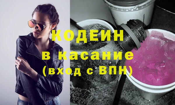 индика Абаза