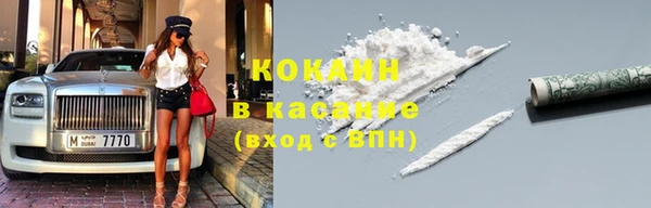 индика Абаза
