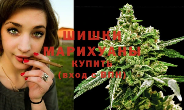 индика Абаза