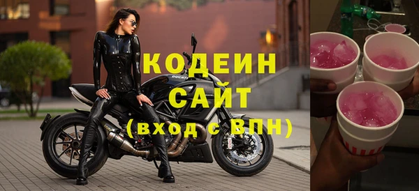 индика Абаза