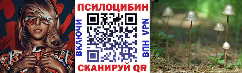 Галлюциногенные грибы MAGIC MUSHROOMS  Щучье 
